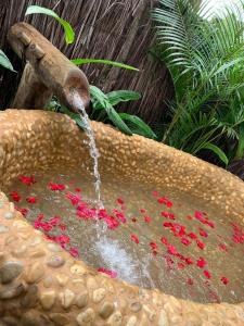 a water fountain with red flowers in a stone bowl at Villa Fulô in Caraíva