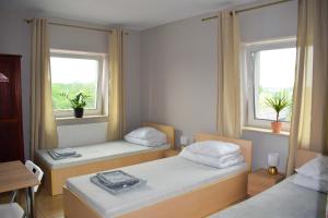 2 łóżka w małym pokoju z 2 oknami w obiekcie Noclegi Rzeszów w mieście Rzeszów