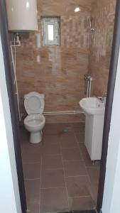 a bathroom with a toilet and a sink at La Casute in Apuseni in Gârda de Sus +32 photos
