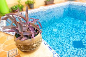 Kolam renang di atau dekat dengan Laremi Gozo B&B