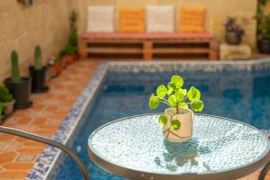 Kolam renang di atau dekat dengan Laremi Gozo B&B
