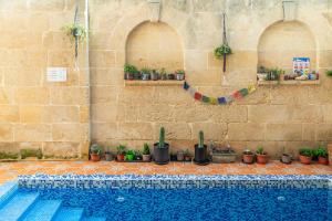 Kolam renang di atau dekat dengan Laremi Gozo B&B