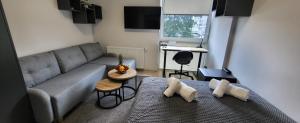 a small living room with a couch at Centrum Prusa Prestige 211 in Lublin