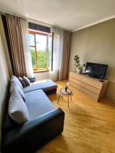 a living room with a couch and a tv at Great View Meridianas Apartment in Klaipėda