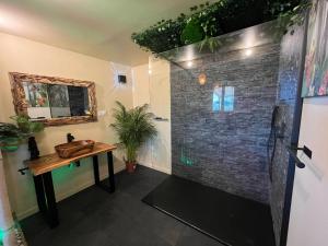 a bathroom with a shower with a table and a sink at Le Maquis Rooms in Plan dʼAups