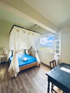 a bedroom with a canopy bed with a window at Chambre Ylang Ylang vue Mont Pelée in Le Morne Rouge