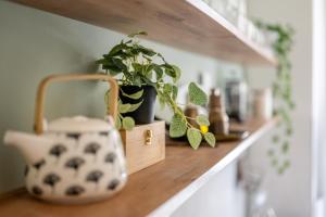 a shelf with potted plants on top of it at Wohlfühlwohnung mit 25 qm Terrasse, Netflix in Koblenz +16 photos