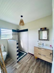 W łazience znajduje się umywalka, toaleta i lustro. w obiekcie Chambre Ylang Ylang vue Mont Pelée w mieście Le Morne Rouge