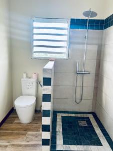 a bathroom with a toilet and a shower at Chambre et SDB privative Ylang Ylang vue Mont Pelée dans maison partagée in Le Morne Rouge