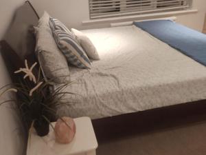 Room in private house near Reading University في Earley: سرير بمخدات وزرع بجانب شباك