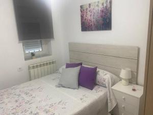 a bedroom with a bed with purple and white pillows at Apartamento en Toledo ideal para visitas a Puy du Fou in Toledo