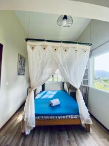 um quarto com uma cama de dossel azul em Chambre Ylang Ylang vue Mont Pelée em Le Morne Rouge