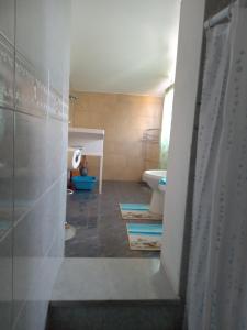 y baño con ducha y aseo. en VILLA CORTESE, en SantʼEufemia Lamezia