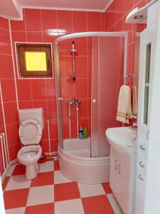 Kupatilo u objektu Apartman Žabljak