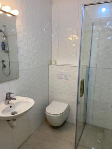 a bathroom with a toilet and a sink and a shower at Apartment Ferizaj in Velipojë +9 photos