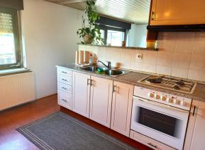 Kuchyň nebo kuchyňský kout v ubytování Homestay Zajec + 5 fotografií
