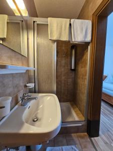a bathroom with a sink and a shower at Haus Beim Seppl in Naturno