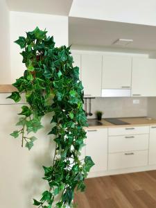 a green plant climbing up a wall in a kitchen at In Mezzo All'Aria Apartment in Mezzolara