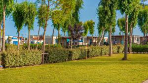 a row of trees in a park with grass at Camping Village Laguna Blu in Fertilia