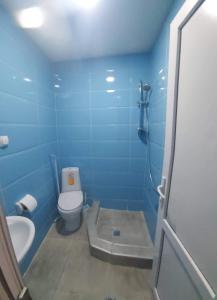 a blue bathroom with a toilet and a shower at Luka in Tbilisi City
