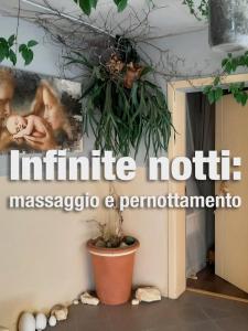 une chambre avec une plante suspendue au plafond dans l'établissement B&B In Principio Vitae - L'infinito con tatto, à Recanati