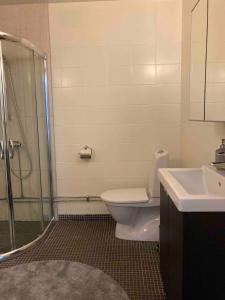 a bathroom with a shower and a toilet and a sink at Enkelheten i Kivik in Kivik