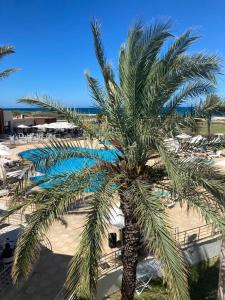 a palm tree in front of a swimming pool at Beachfront Apartment 105- Hotel Andalucia in Bizerte