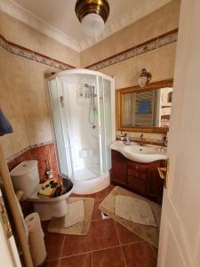 La salle de bains est pourvue d'une douche, de toilettes et d'un lavabo. dans l'établissement Kuria Gagyova, 