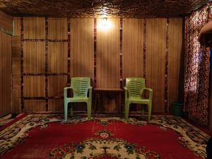 two green chairs sitting in a room with a red rug at Hotel Island in Srinagar