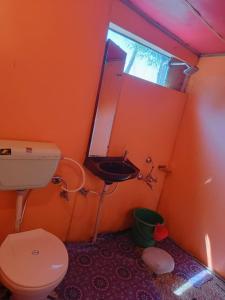 a bathroom with a toilet and a sink and a mirror at Hotel Island in Srinagar