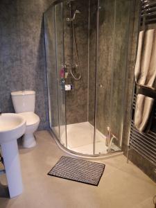 Kippford Stables في كيبفورد: حمام مع دش مع مرحاض ومغسلة