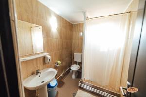 a bathroom with a sink and a shower and a toilet at Casa Badea in Murighiol +65 photos