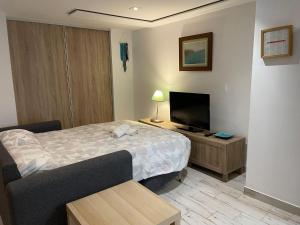 Schlafzimmer mit einem Bett und einem Flachbild-TV in der Unterkunft arcoiris apartment in Santander
