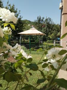 a garden with a gazebo and white flowers at Guest House Dimitrije in Niška Banja