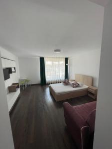 una grande camera con un letto e un divano di Paula Apartment & Rooms a Oradea