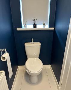 ein Badezimmer mit einem weißen WC in einer blauen Wand in der Unterkunft Family friendly detached 2 bed home, Loch Lomond in Bonhill