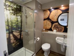 a bathroom with a shower and a toilet and a sink at Hare Lodge with Hot Tub in Cupar