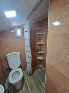 a small bathroom with a toilet and a shower at Arel's Home in Prizren
