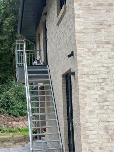 a dog is standing on a staircase in a building at Ferienwohnung: Waldblick in Hatten