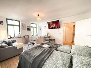 Posezení v ubytování Zentrales Apartment mit TV, Küche und Mikrowelle + 22 fotografií