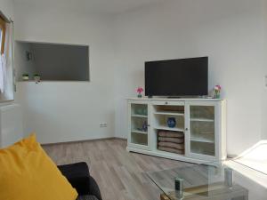TV a/nebo společenská místnost v ubytování Alpensonne