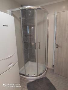 Un baño de Apartmán Dvůr Králové