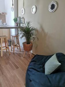 a living room with a potted plant on the floor at MaaR Estudio 7, a 2 cuadras del Malecón de La Paz in La Paz