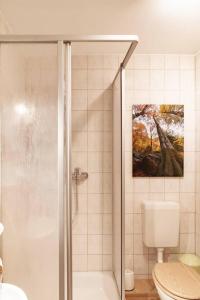 a bathroom with a shower and a toilet at Das Waldseechalet Märchenhafter Waldseeblick - moderne Wohnung mit Infrarotsauna in Hasselfelde