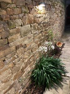Fotografia z galérie ubytovania Ty Guenhaël petite maisonnette avec extérieur intra-muros proche port de Vannes v destinácii Vannes
