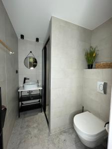 La salle de bains est pourvue de toilettes et d'un lavabo. dans l'établissement Toila Pikk Apartment, à Toila