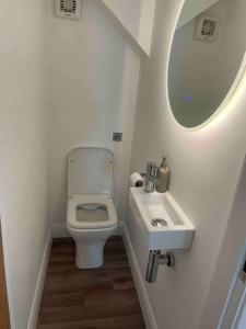 a small bathroom with a toilet and a sink at ROOMZ TOWNHOUSE NO 20 in Portaferry