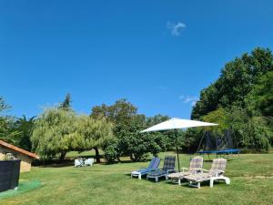 a group of chairs and an umbrella in the grass at Le Coq en Repos in Saint-Sylvestre-sur-Lot