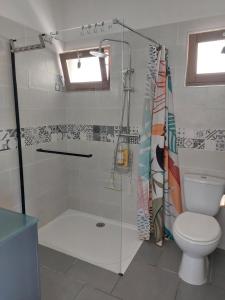 a bathroom with a shower and a toilet at Chez Laurie et Jo in Saint-Remèze