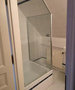 a shower with a glass door in a bathroom at Ferienwohnung Apfelrose in Oldsum